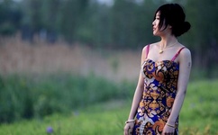 结衣波多野种子快播